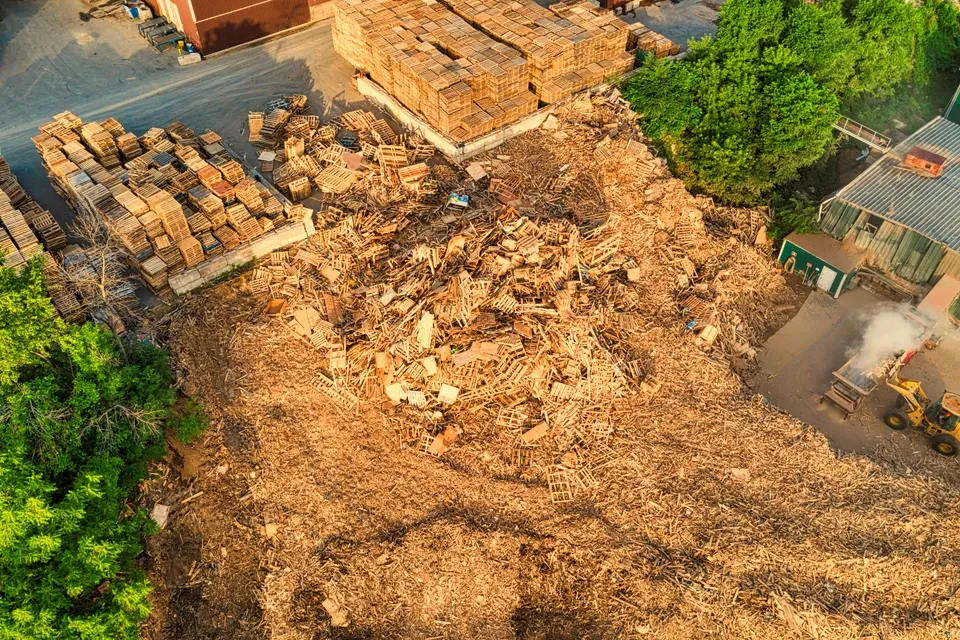 Timber at the Brackholt transfer station